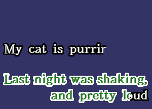 My cat is purrir

WWW
Mitoud