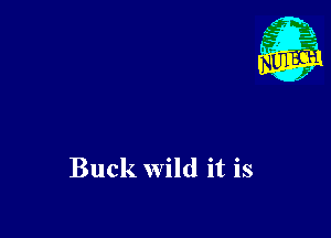 Buck wild it is