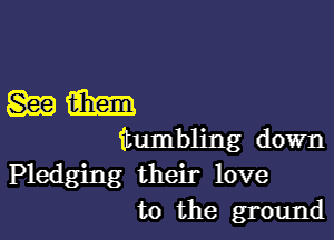 mm

itumbling down

Pledging their love
to the ground