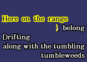 Elm 15in
Ii belong
Drifting
along With the tumbling
tumbleweeds