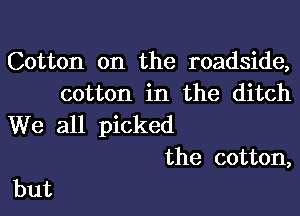 Cotton on the roadside,
cotton in the ditch

We all picked
the cotton,

but