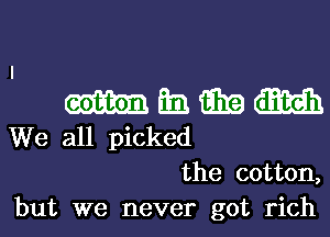 mmmm

We all picked

the cotton,
but we never got rich