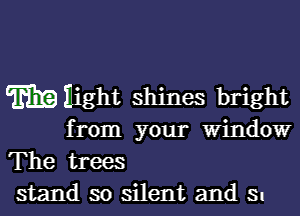 mnight shines bright

from your Window

The trees
stand so silent and s.