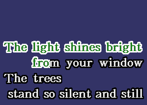 mmmm

hm your Window
The trees
stand so silent and still