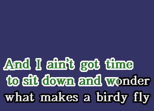 E m m
mMWnder
What makes a birdy fly