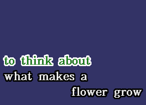 deu

what makes a
flower grow