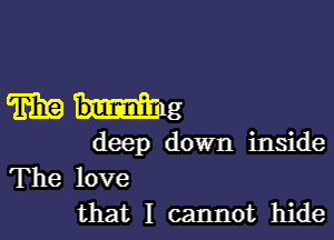 Whig

deep down inside
The love
that I cannot hide