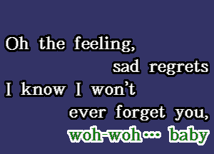 Oh the feeling,
sad regrets

I know I won t
ever forget you,

woh-Wohcoo