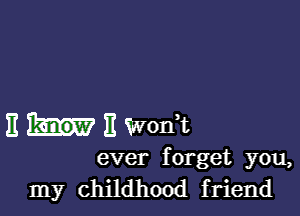 E 11 Wonk

ever forget you,
my childhood friend