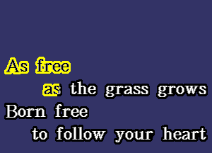 4mm

(53 the grass grows
Born free
to follow your heart