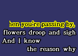 mmmm

flowers droop and sigh
And I know
the reason Why