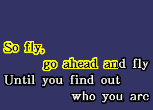 .3370

.d fly
Until you f ind out
who you are