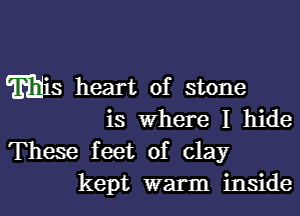 Wis heart of stone

is where I hide

These feet of clay
kept warm inside