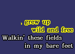 5 (316??
mg
Walkin, these fields
in my bare feet