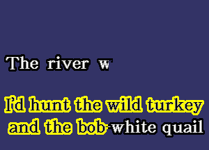 The river w

WWEEIIW
69-me quail