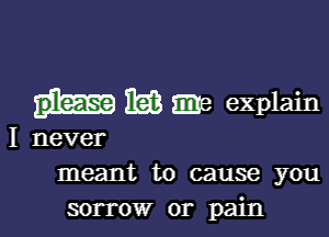 Rik me explain

I never
meant to cause you
sorrow or pain