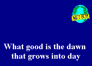 W hat good is the dawn
that grows into day