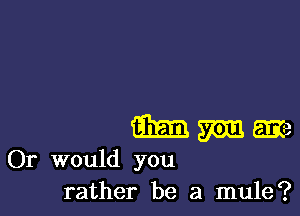 m gm Lama
Or would you
rather be a mule?