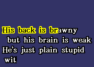 BEER EB Emawny

but his brain is weak
Hds just plain stupid
Wit.