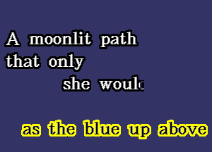 A moonlit path
that only
she wouln-

gamma