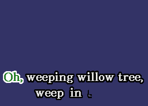 Gibb weeping Willow tree,
weep in