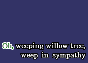 (3)110 weeping willow tree,
weep in sympathy