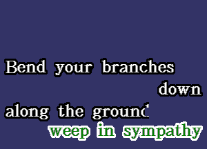 Bend your branches
down
along the ground

m3 sympathy