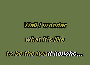 Well I wonder

what it '3 like

to be the head honcho...