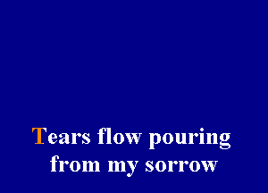 Tears flow pouring
from my sorrow