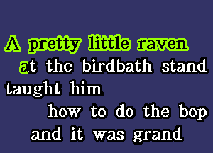 A mm mm
at the birdbath stand

taught him
how to do the bop

and it was grand l