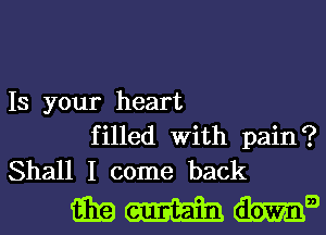 IS your heart
filled With pain?
Shall I come back

mamma