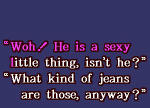 (Wohf He is a sexy

little thing, isn,t he?n

ccWhat kind of jeans
are those, anyway ?n