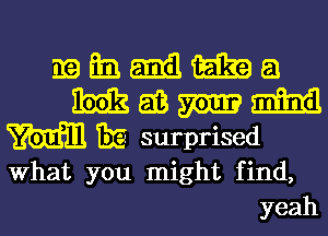 319 Em. Emil m a
m 513 m mind
m 131? surprised
What you might find,
yeah