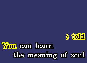 the meaning of soul