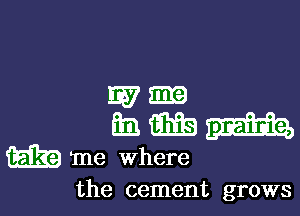 W m
E Efs m

m me where
the cement grows