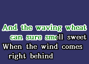 ma aim m
mll sweet
When the Wind comes

right behind