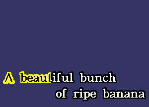 A Miful bunch

of ripe banana