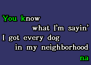 You know
what Fm sayin,

I got every dog
in my neighborhood

na