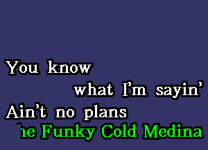 You know

what Fm sayin,
Aidt no plans
'1e Funky Cold Medina