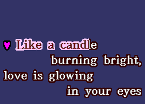 Magmae

burning bright,
love is glowing
in your eyes