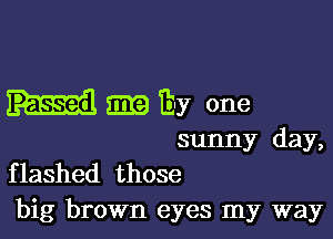 Ema TE-y one

sunny day,
flashed those
big brown eyes my way