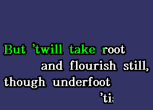 But twi1l take root

and flourish still,
though underfoot
,ti.'