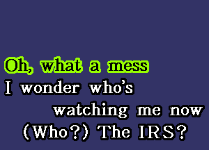 wmam

I wonder ths
watching me now

(Who?) The IRS?