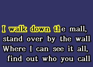 E m m iihe mall,

stand over by the wall
Where I can see it all,
find out Who you call