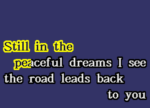 wmm

woeful dreams I see
the road leads back

to you