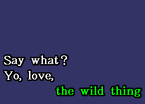 Say What?
Yo, love,
the Wild thing