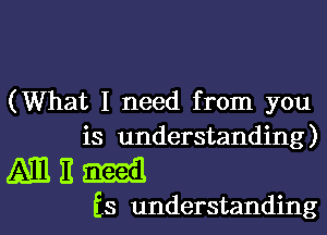 (What I need from you

is understanding)

Milan!

is understanding