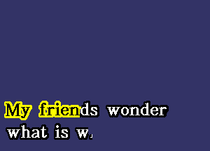 W Ms wonder

What is w,