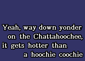 Yeah, way down yonder
0n the Chattahoochee,

it gets hotter than
a hoochie coochie