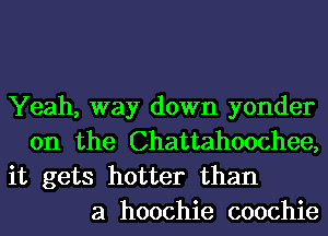 Yeah, way down yonder
0n the Chattahoochee,

it gets hotter than
a hoochie coochie